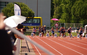 6a149f1c9163f_IMGP3556.JPG