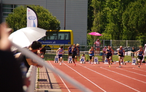 6a149f219352b_IMGP3557.JPG