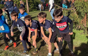 Les galopades d'Orvault